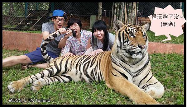 20150603_113923.jpg 20150603_113923.jpg