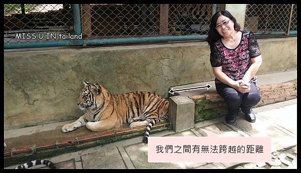 20150603_115635.jpg 20150603_115635.jpg