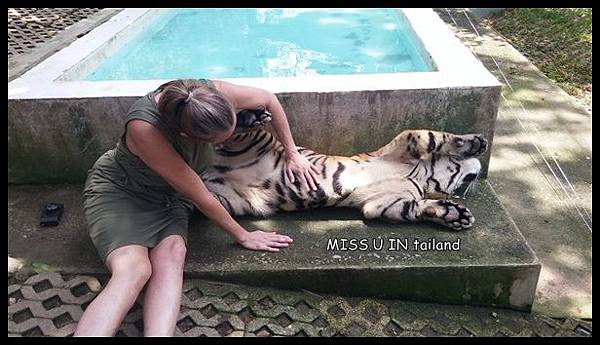 20150603_120350.jpg 20150603_120350.jpg