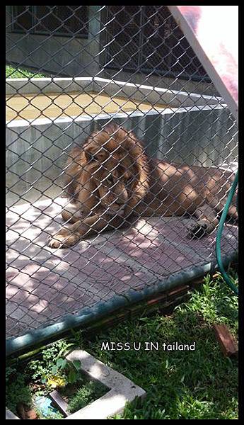 20150603_121101.jpg 20150603_121101.jpg