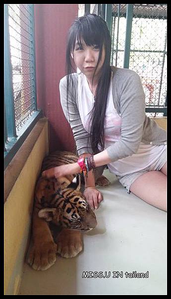 20150603_121817.jpg 20150603_121817.jpg