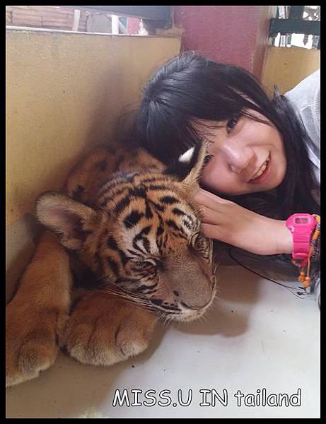 20150603_121853.jpg 20150603_121853.jpg