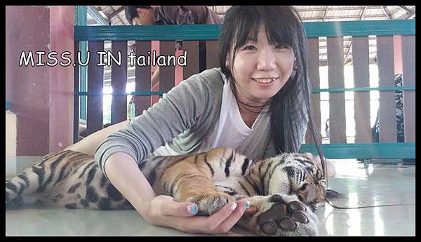 20150603_121943.jpg 20150603_121943.jpg