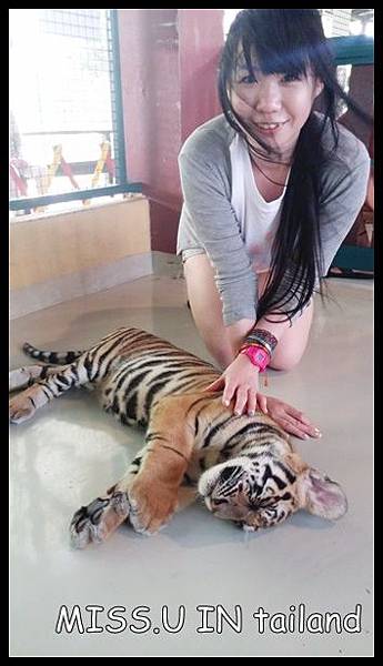 20150603_122053.jpg 20150603_122053.jpg