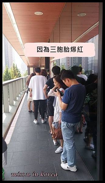 三胞胎TERO起司豬排 三胞胎TERO起司豬排