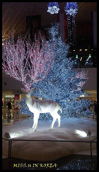 20151211_191427.jpg