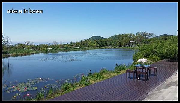 20160512_112213.jpg 20160512_112213.jpg