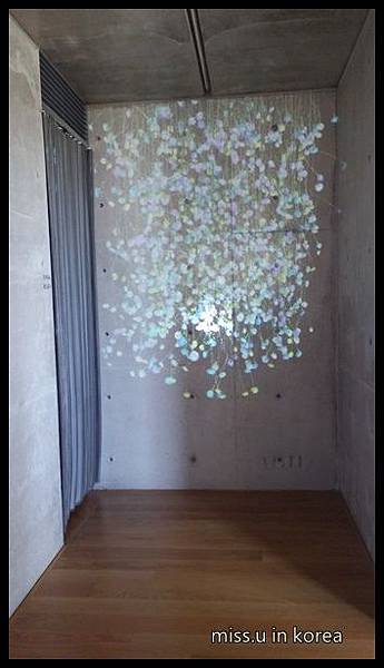 20160512_115111.jpg 20160512_115111.jpg