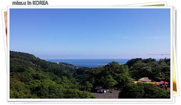 20160512_161138.jpg 20160512_161138.jpg