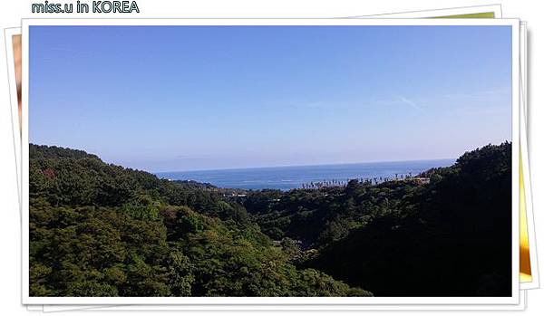 20160512_161930.jpg 20160512_161930.jpg