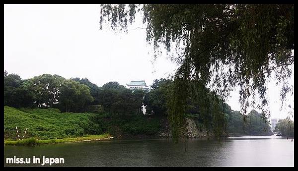 20160726_120325.jpg 20160726_120325.jpg