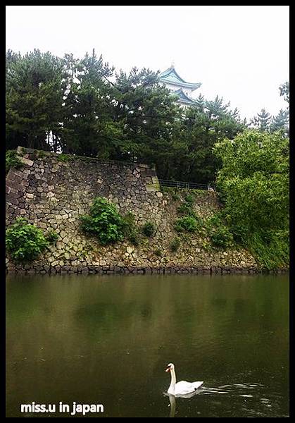 20160726_121135_HDR.jpg 20160726_121135_HDR.jpg