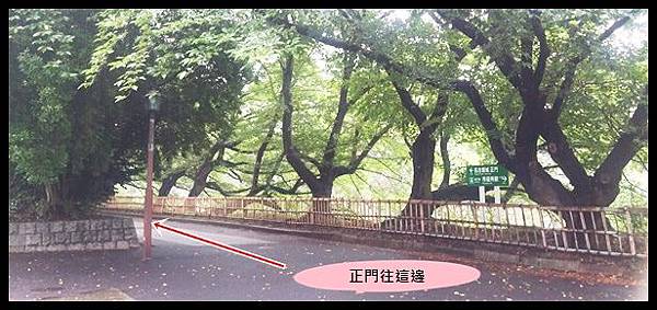 20160726_123732.jpg 20160726_123732.jpg