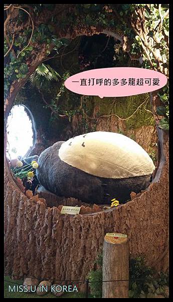 20160530_120457.jpg 20160530_120457.jpg