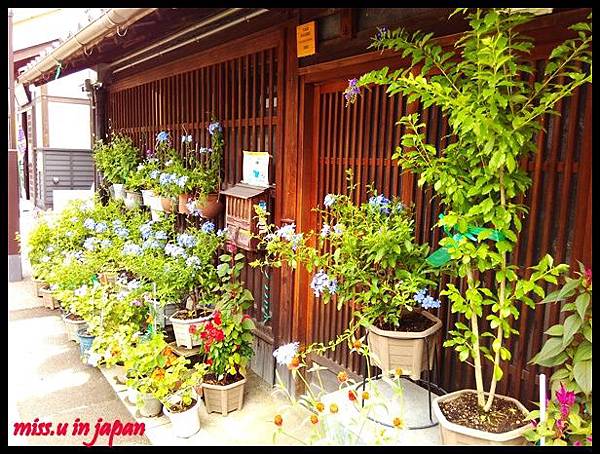 犬山城/桃太郎神社