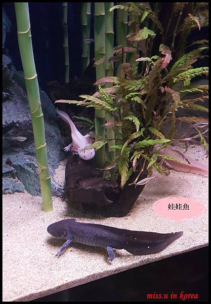 20170619_161243.jpg