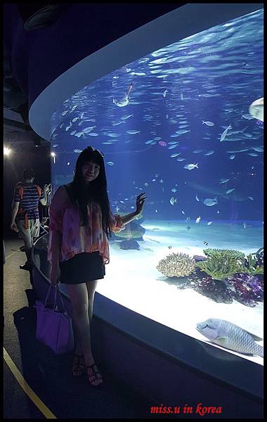 20170619_164053(0).jpg