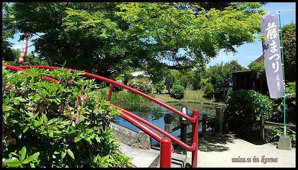 20170505_112048.jpg 20170505_112048.jpg