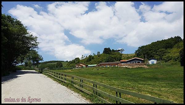 20170614_134941.jpg