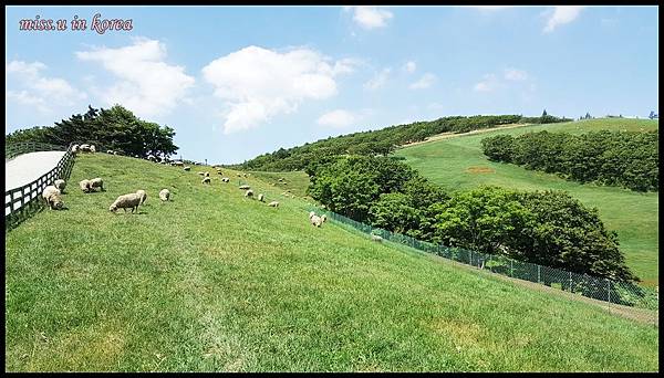 20170614_141539.jpg