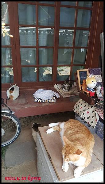 全州韓服 全州韓服