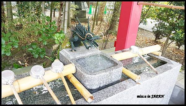 20170504_112610.jpg