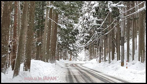 美山沿路風景