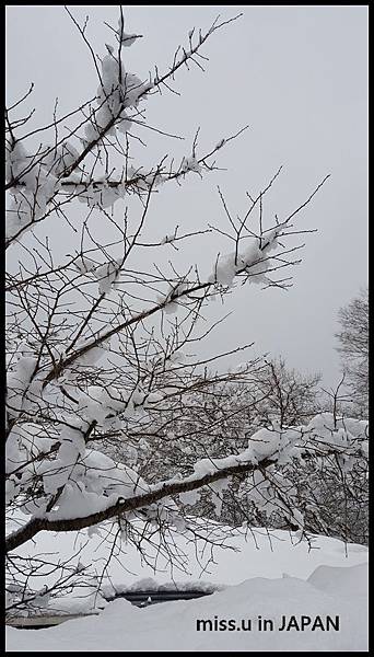 美山河鹿莊雪景