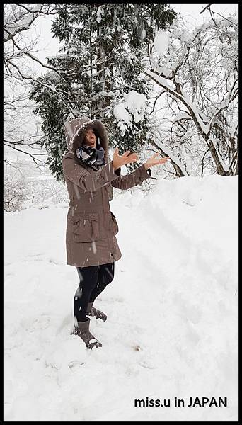 美山河鹿莊大雪飄飄