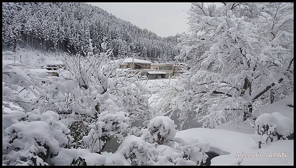 白色夢幻美山合掌村