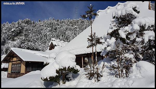 白色夢幻合掌村