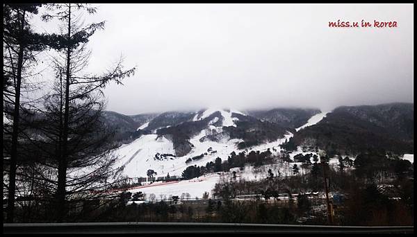 20170105_093332.jpg 20170105_093332.jpg
