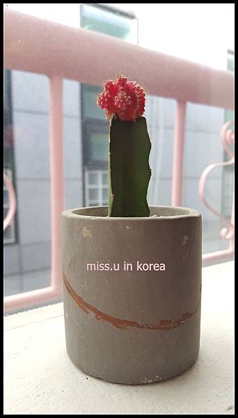 20171231_131047_001.jpg 20171231_131047_001.jpg