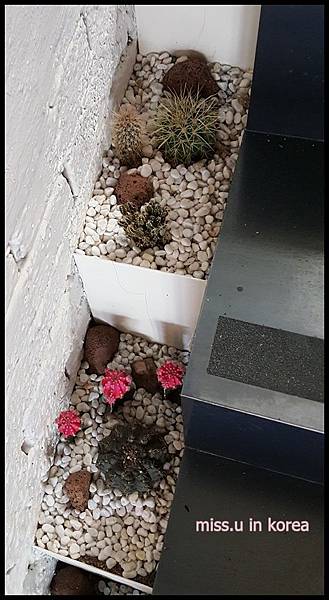 20171231_131038.jpg 20171231_131038.jpg