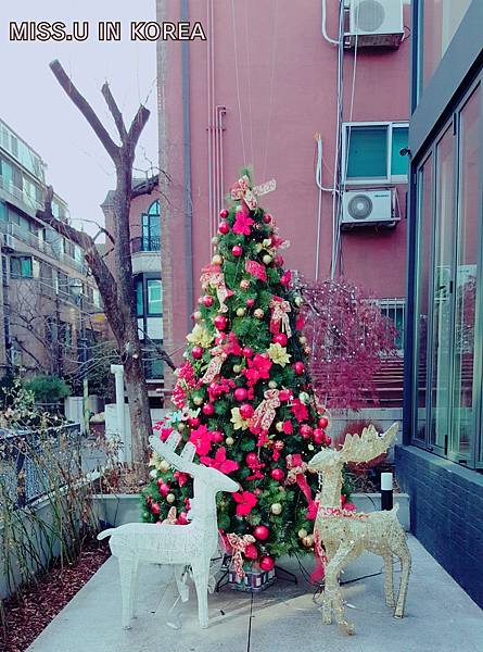 17-12-31-13-20-00-038_deco.jpg 17-12-31-13-20-00-038_deco.jpg