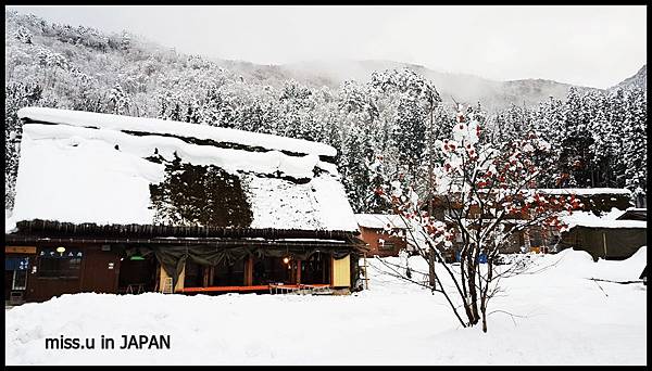 白川鄉合掌村