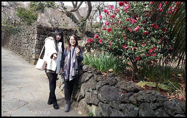 26 (1).jpg 26 (1).jpg