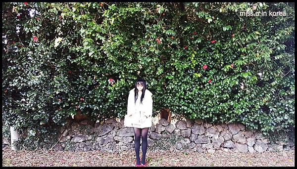 26 (2).jpg 26 (2).jpg