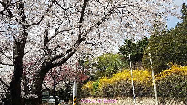 20180402_110049.jpg