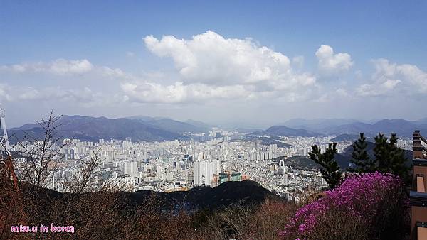 20180402_115927.jpg