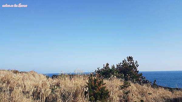 20180302_093153.jpg 20180302_093153.jpg
