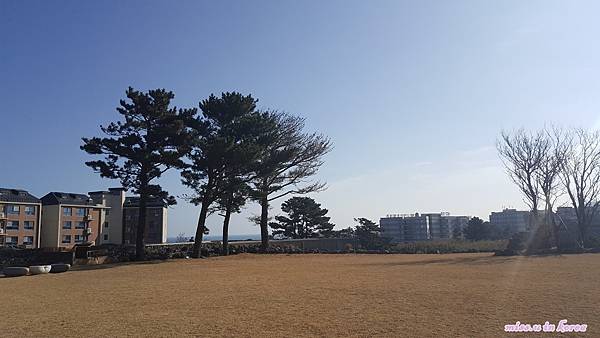 20180302_094043.jpg 20180302_094043.jpg