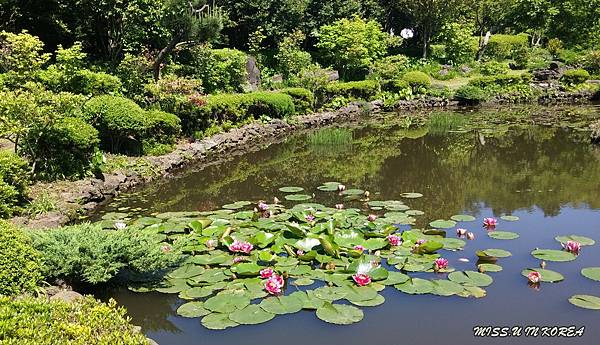 20160512_101046.jpg