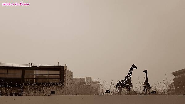 20171230_130757.jpg 20171230_130757.jpg