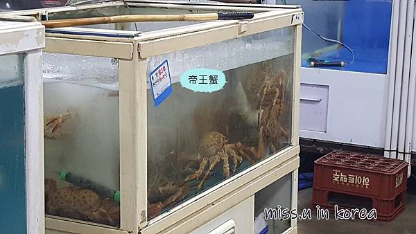 20180630_201529.jpg 20180630_201529.jpg