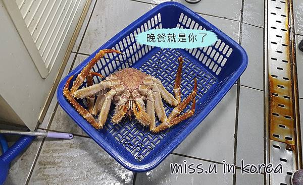 20180630_201757.jpg 20180630_201757.jpg