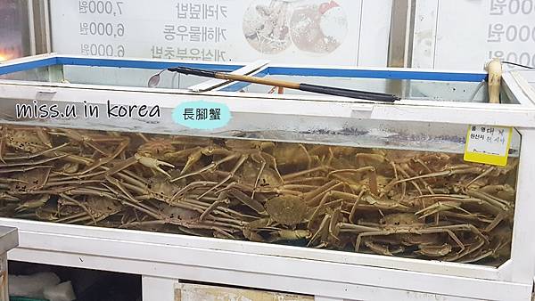 20180630_201522.jpg 20180630_201522.jpg