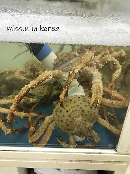 1530359338121.jpg 1530359338121.jpg