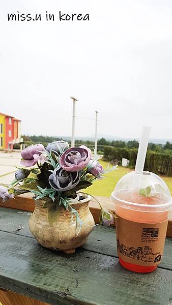 20180629_101529.jpg 20180629_101529.jpg