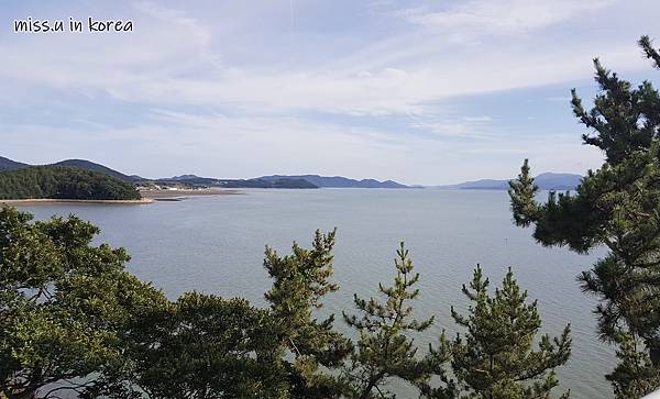 20180704_172611.jpg